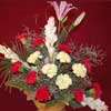 Gentle Touch - Click here to View more details about this Product